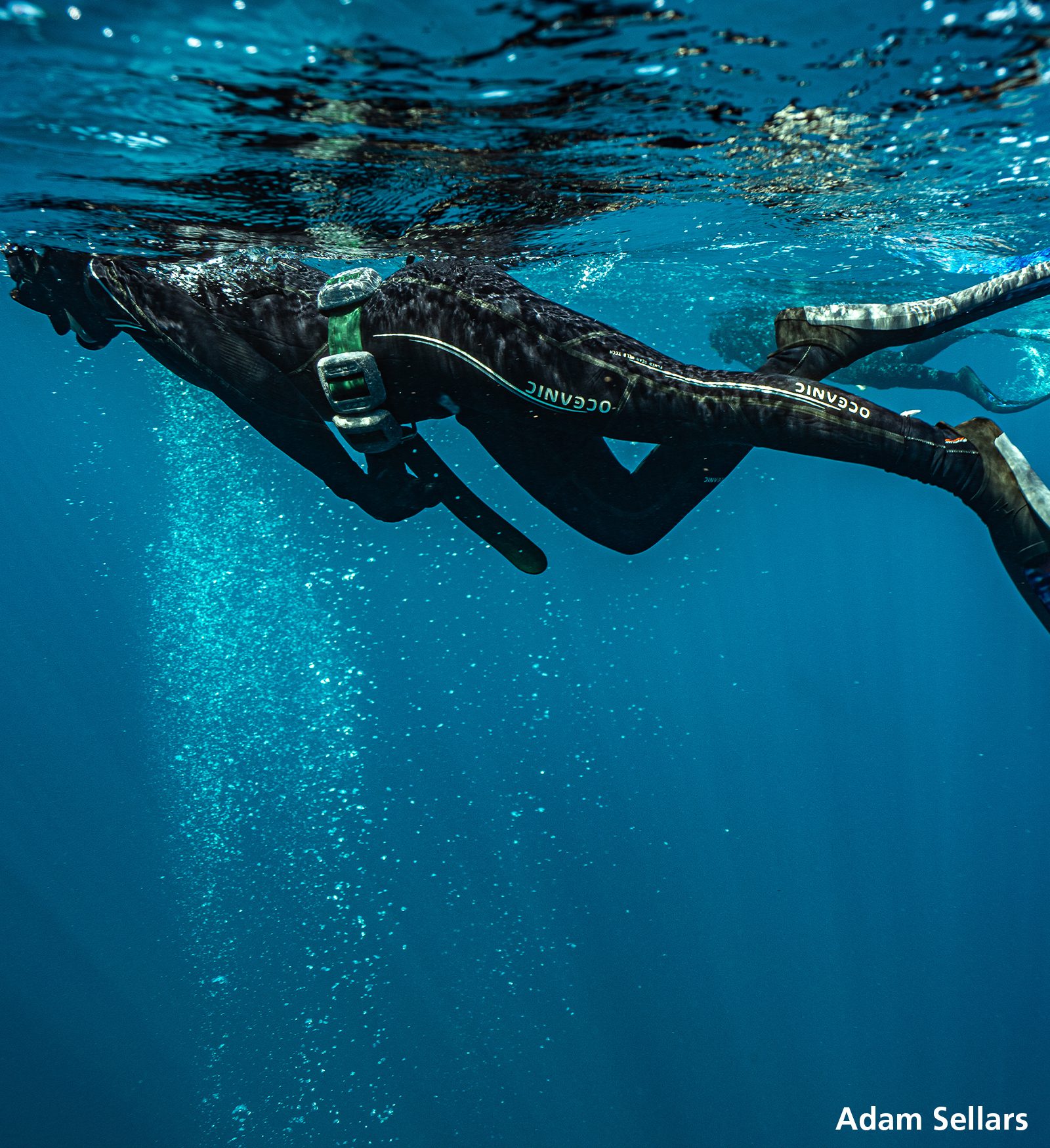 PADI Freediving Courses Sunreef