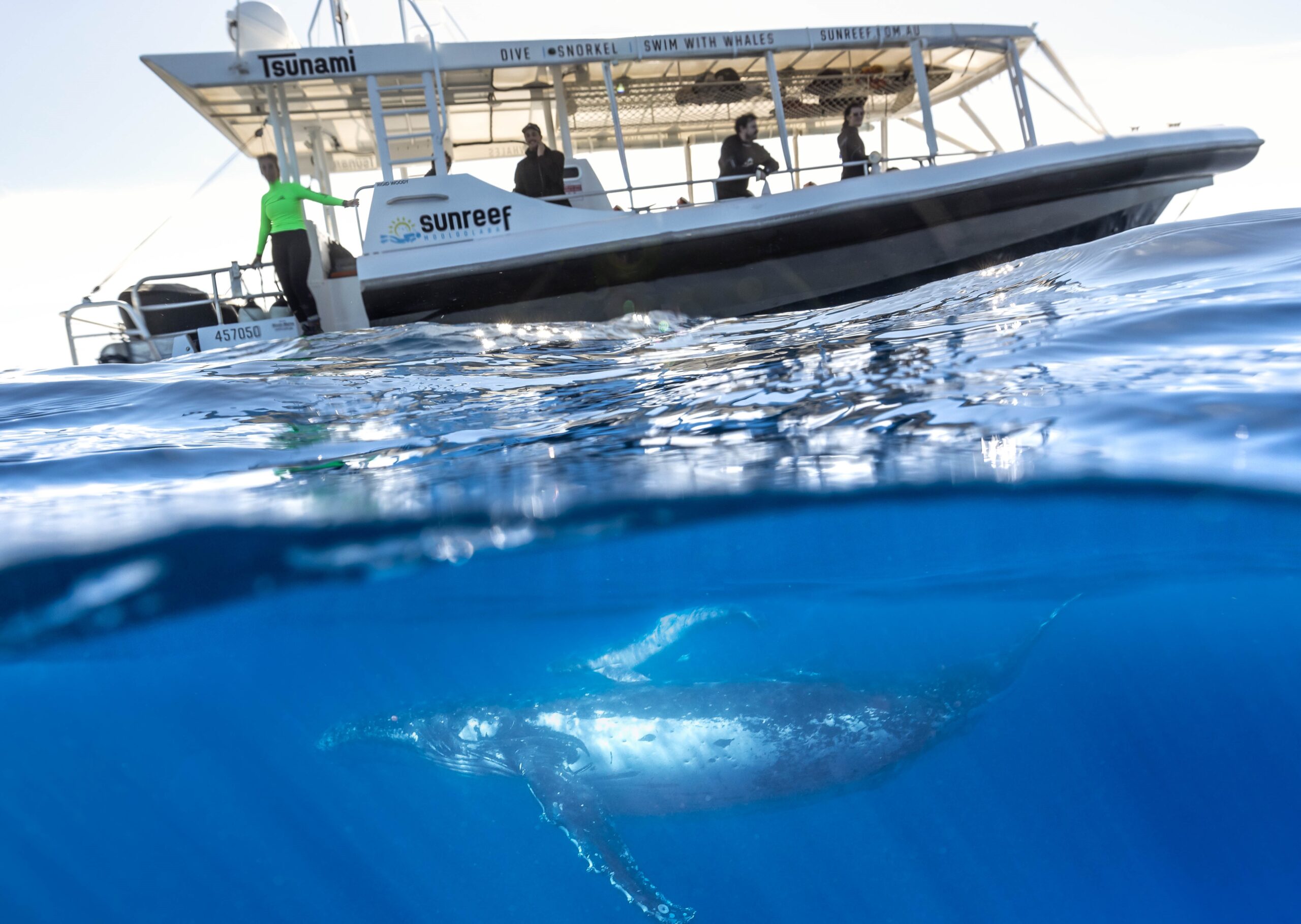 Dive Boats For Unforgettable Experience On The Sunshine Coast - Sunreef